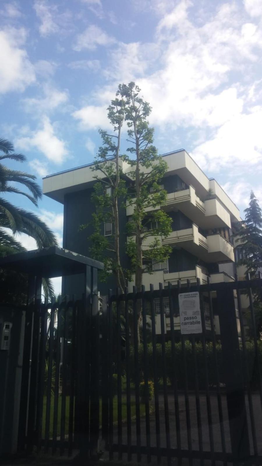 Casa Giordano Apartamento Roma Exterior foto